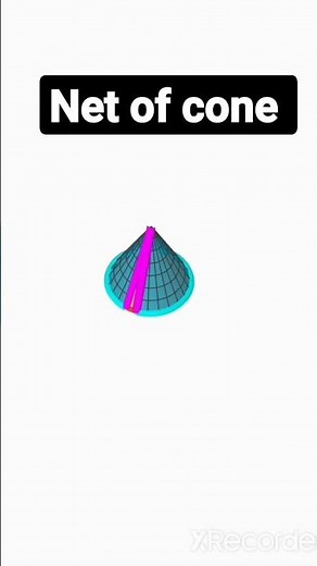 Net of cone