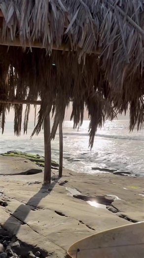 We are celebrating the iconic Windansea Surf Shack, which has not only been honored as a San Diego historical site, but March 20th is now 'Surf Shack at Windansea Beach Day'! 🤩 Have you visited the shack? | Visit San Diego