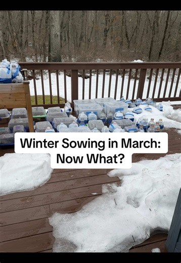 Everyone asks this in March: “What do I do with my winter sowing containers now?” Honestly? Nothing. 🌱 Nature has it handled. Your containers are designed to sit outside and do their thing — the freezing, thawing, snow, and rain are all part of the process that helps those seeds germinate at the right time. BUT if you want to give them a tiny boost now that the snow is melting… Look around your yard for the spots where the snow has melted much faster. Those areas are getting more sun and warmth