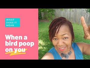 What Does It Mean (When A Bird 🐦 Poop On You)