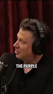 15K views · 18K reactions | The Purple Gang. Experts say around 75% of the alcohol consumed during prohibition came across the Detroit river. While many outfits operated at that time, for a while, the Purples were the most feared. #Detroit #history #gangsters #detroithistory #purple | Dave Landau | Facebook