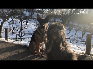 Extraordinary for our family: Snow playing 2018.1.