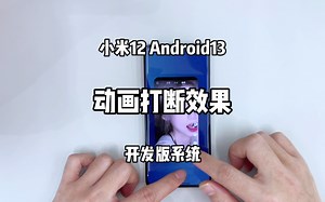 小米12，Android13版本的MIUI13流畅度不错，打断动画也OK！