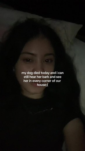 Coping with the Loss of a Beloved Dog: Dealing with Grief and Memories