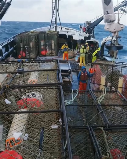 Wizard deckhand scrambles for help after their captain collapses from a suspected stroke. #DeadliestCatch | Discovery Channel Australia