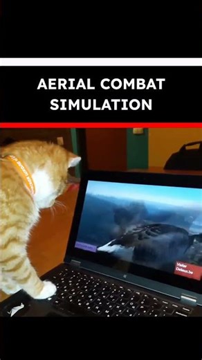 Cassie Cyber Cat (Agent C) Intro VideoCassie Intro