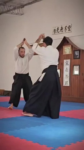 Aikido#aikido #aikido_techiniques #jiujitsu #japan