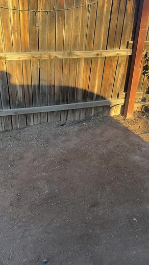 Washing Clothes In The Tub: A Practical Guide