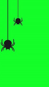 Download Hanging Spiders On Green Screen. Vertical Animation for free