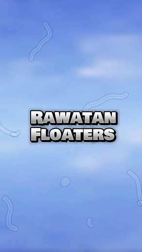 Understanding Eye Floaters and Flapless Treatment Options