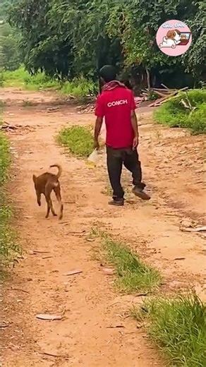 Thought we were drinking together but it turned out 😂 #gudan