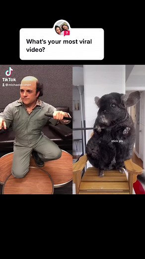 Schwoz and Chinchilla Michael D. Cohen Confirms Female Character