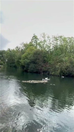 Amiens France 🇫🇷 #travel tour
