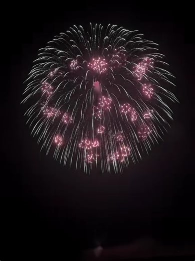 Japanese Fireworks Shell 🇯🇵 #piropazzo #fireworks #hanabi #feuerwehr