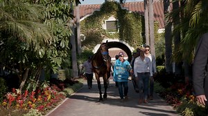 Watch: Flightline impressed in the Met Mile (G1), but it was his victory by 19 1/4 lengths in the Pacific Classic (G1) that led to his rating of 139. Historically, this mark is the highest earned by a dirt horse and only 1lb below Frankel’s benchmark rating of 140 under the current system. Previously, the highest rating given to a dirt horse was the 135 achieved by Cigar in 1996. | IFHA's Longines World's Best Racehorse Rankings