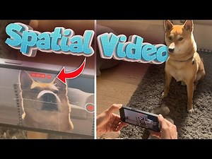 Apple Spatial Video in 3D! Shot on iPhone 15 Pro for Vision Pro & Meta Quest 3