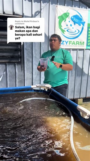 Guide to Tilapia Fish Farming Techniques