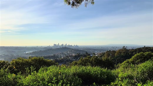 cuxsilve90 (@cuxsilve90)’s videos with Intocable - En Vivo - Remmy Valenzuela