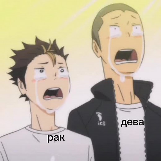 Anime Characters Exploring Volleyball Themes