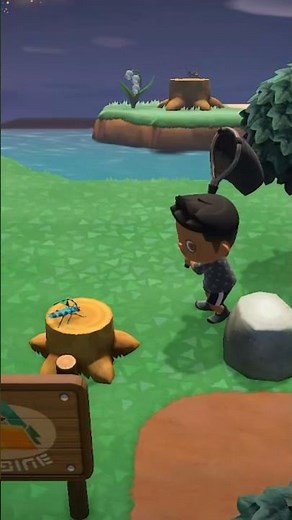 You guys… I CAUGHT a BUG! #animalcrossingnewhorizons #animalcrossing #acnh #nintendoswitch #shorts