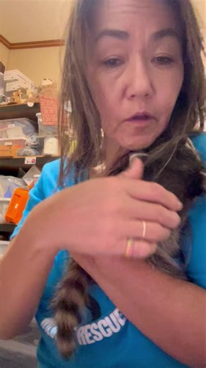 Little Barney | Little Bit Wildlife Rescue