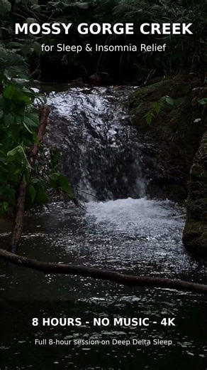 Mossy Gorge Creek Sounds for Sleep & Insomnia Relief, 8 Hrs #Shorts