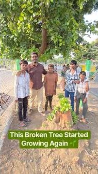 The Power of Giving Nature a Second Chance🌱