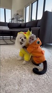 Charmander Monkey Hugs & Kisses Pikachu Puppy! 🐵❤️🐶 Cutest Crossover Ever! #PokemonPets