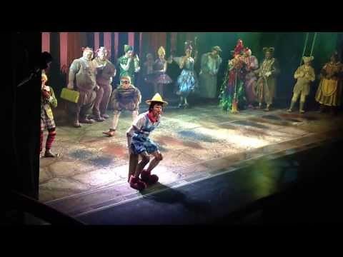 Freak Flag - Shrek The Musical National Tour 2012-2013, Tony Johnson as Pinocchio