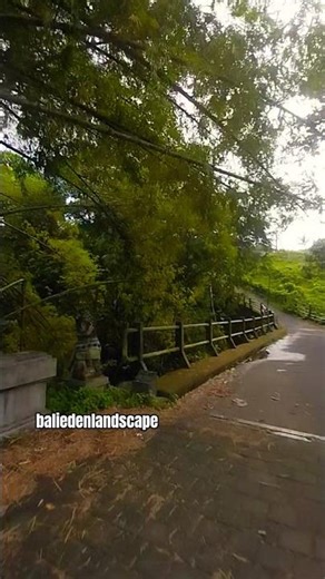 ​Ever wondered what Bali looks like when the world isn't watching?