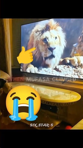 Dog Gets Furious Watching The Lion King — He Tried to Save Simba 🐶📺