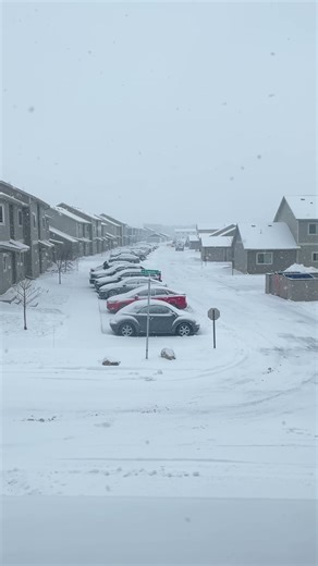 Winter whispered and the world turned white. #Snowfall #WinterVibes #SnowMagic #WinterWonderland