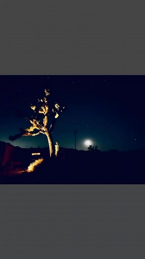 15 reactions | Moon | Alice Jones | Facebook