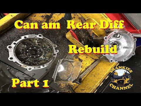 Can Am Rear Diff Rebuild Part 1 Seals & Bearings