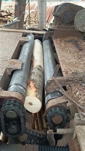 The process of rotary cutting bark- Good tools and machinery make work easy