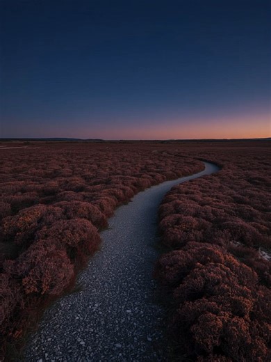 ️ (@thecalmalgorithm)’s videos with original sound - 𝙎𝙖𝙫𝙖𝙣𝙣𝙖𝙝 ✮