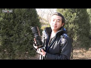 【CamLogic 相机逻辑】Olympus 奥林巴斯 M.ZUIKO DIGITAL ED 300mm F4.0 IS PRO Lens Review