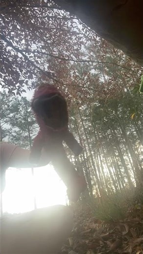 elmo world berrys intro