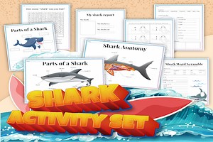 The Life Cycle of a Great White Shark: Survival in the Ocean - Sarah Lyn