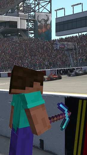 Steve and Barney: Flag Man Racing Adventures