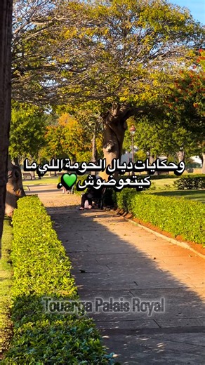 Touarga - Palais royal RAbat on Instagram‎: "“فـ الجردة كتجمع اللمة… هضرة من القلب، ضحكة صادقة، وحكايات ديال الحومة اللي ما كيتعوضوش 💚. تفاصيل بسيطة ولكن فيها دفء كبير، وهكا كتدوز أيام تواركة… باللمة والمحبة 🙌.” 📍 تواركة – الرباط #تواركة #الحومة #الجردة #لمة_الخير #أجواء_الحومة #ناس_الحومة #حياة_بسيطة #المغرب #ذكريات #rabat #maroc #touargapalaisroyal #touarga #rabatcity #🇲🇦 #love"‎