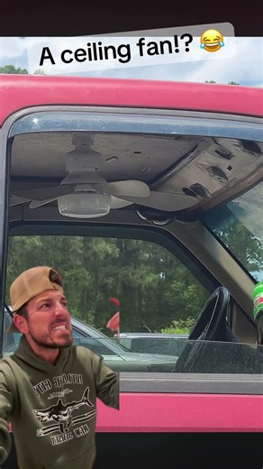 It’s amazing what you’ll find in a Walmart parking lot 😂 #walmart #walmartfinds