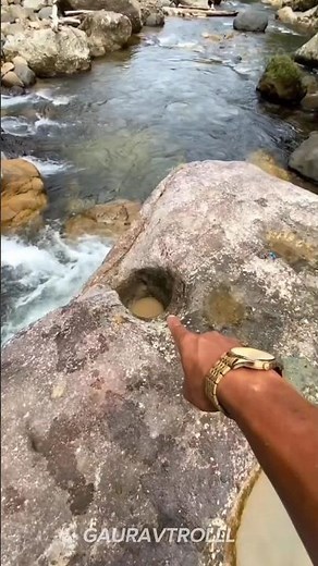 Nature's Animals Transformation