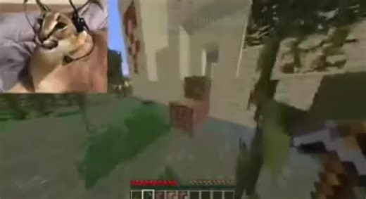 #floppa floppa gaming minecraft