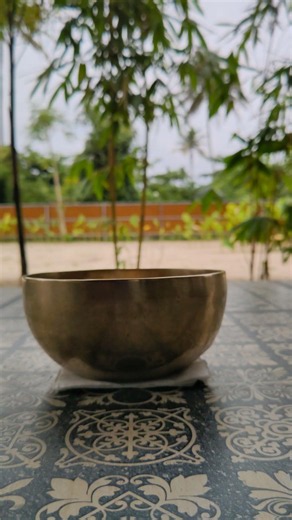 The Biofeedback of Singing Bowl Frequencies