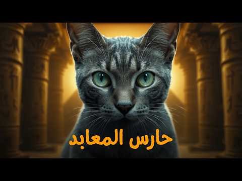 ليه الفراعنة قدسوا 'المياو' المصري؟