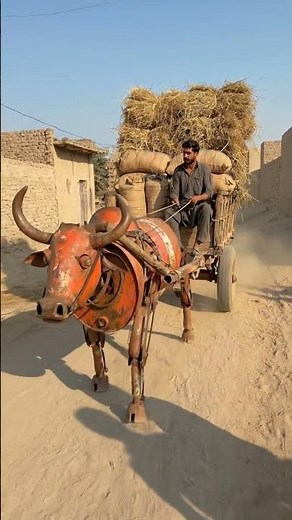 The 'Scrap Metal' Buffalo. Made from old barrels and pipes. Village life is changing! #DIYProject