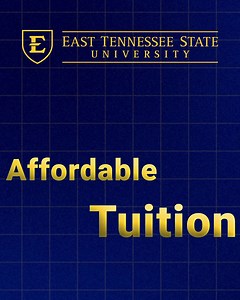 Earn your accredited and affordable MBA 100% online from the #1 program in Tennessee according to Best Value Schools. | East Tennessee State University