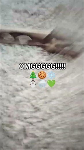 CHRISTMAS TIME!!!! 🎄 #ballpython #snake #christmas #fun #elf #funnyvideo