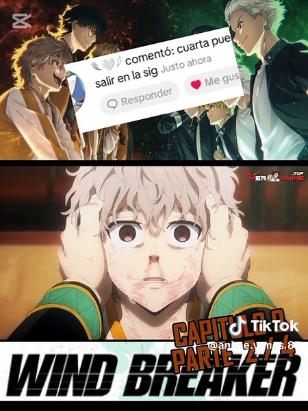 Anime Edits Featuring Windbreakers